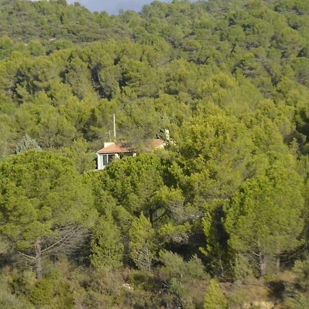 La Petite Cigale Villa Cesseras Exterior foto