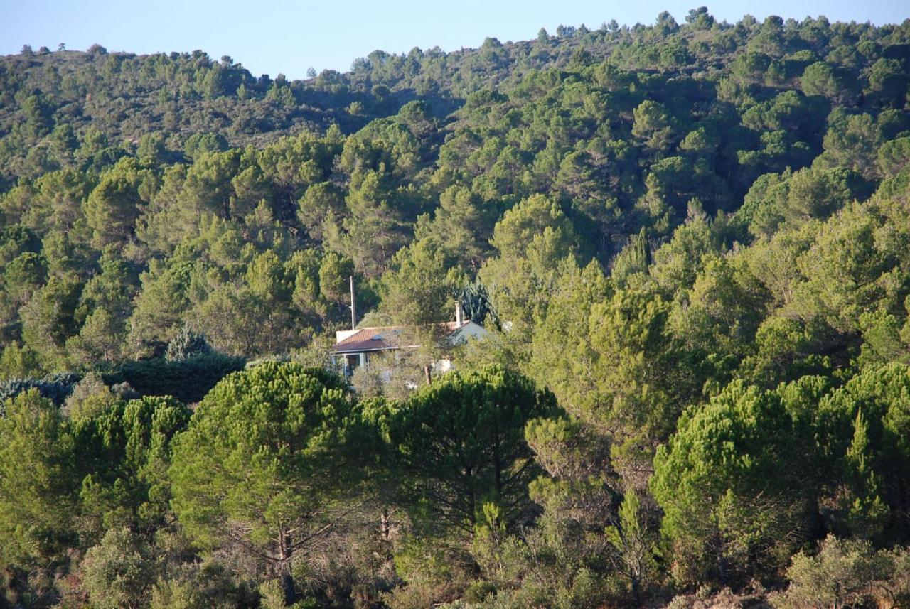 La Petite Cigale Villa Cesseras Exterior foto