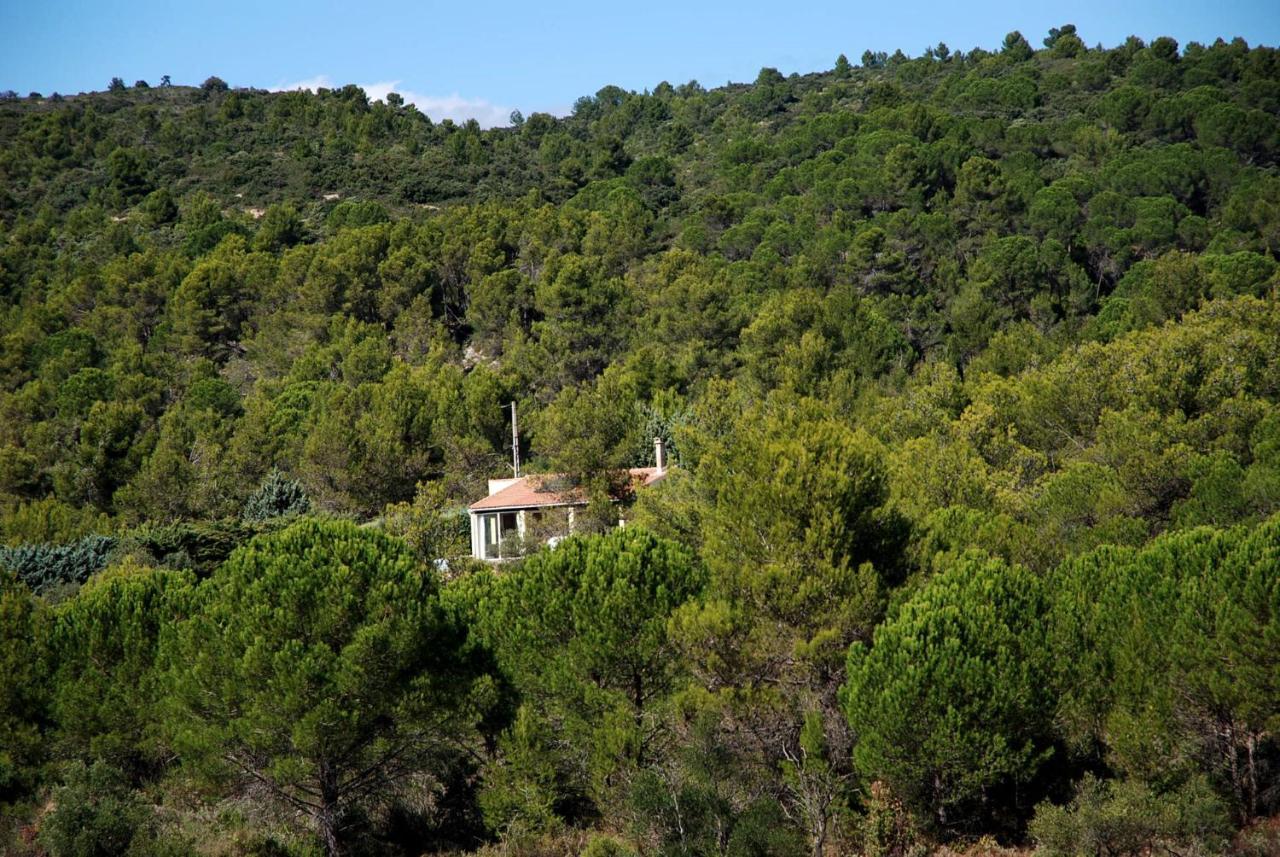 La Petite Cigale Villa Cesseras Exterior foto