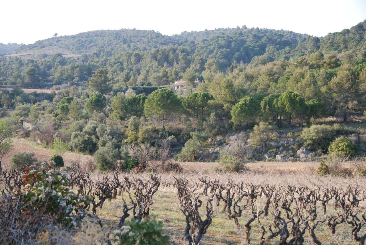 La Petite Cigale Villa Cesseras Exterior foto