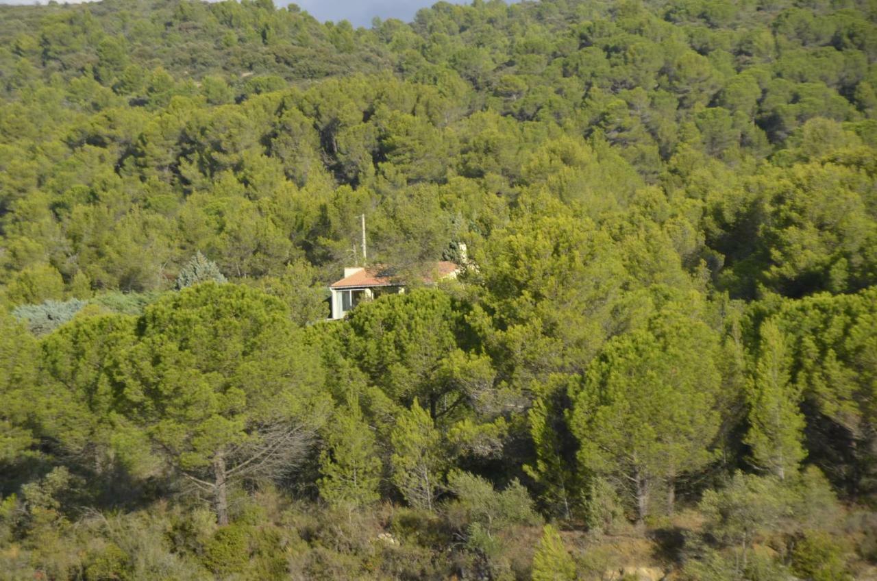 La Petite Cigale Villa Cesseras Exterior foto